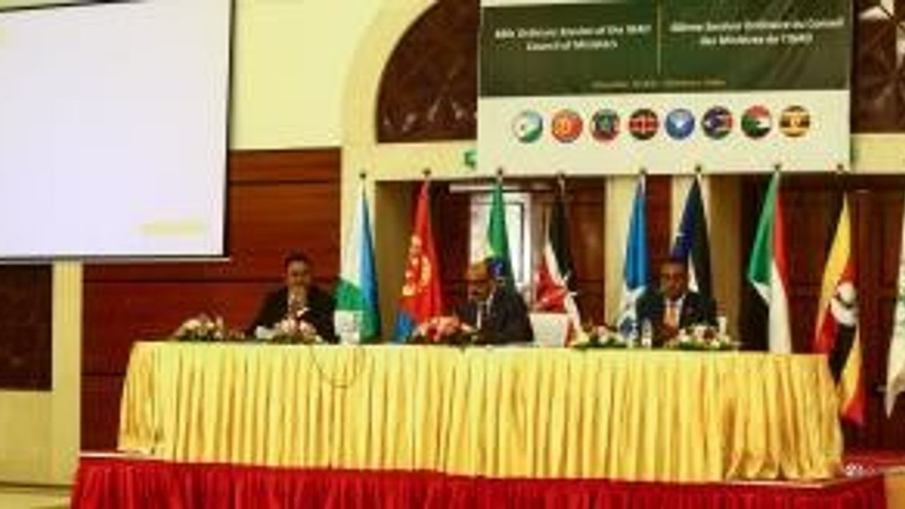 Sudan Dışişleri Bakanı Vekili: "IGAD, Çin ve Rusya ile ortaklıklar kurmalı"