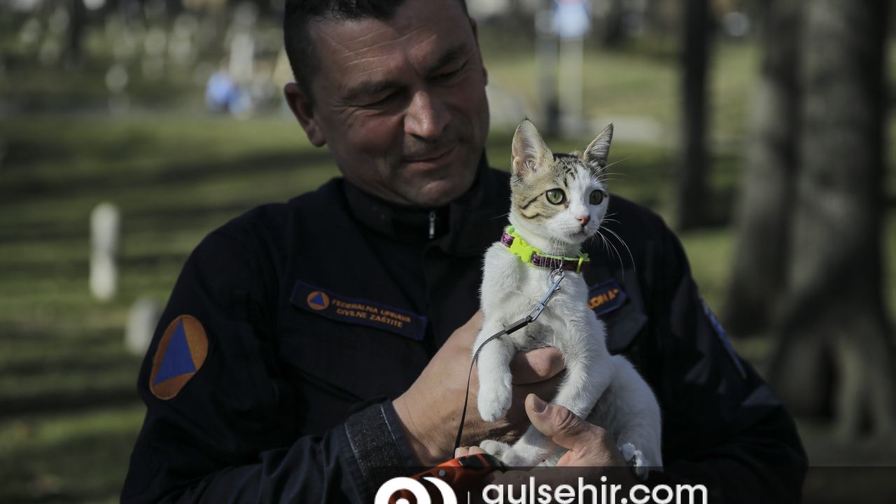 Bosna Hersek arama kurtarma ekibi, Hatay'da kedi sahiplendi