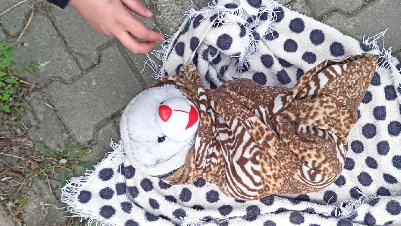 Tekirdağ'da bir kadın "oyuncak bebekle" dilenirken yakalandı