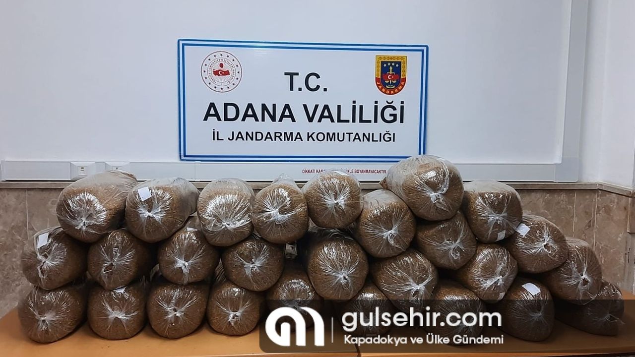 Adana'da 900 kilogram kaçak tütün bulundu