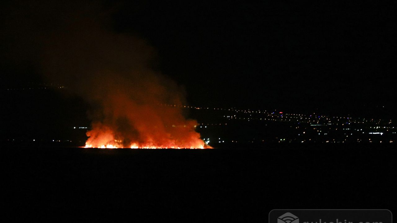 Kayseri'deki miras Sultan Sazlığı Milli Parkı'nda yangın