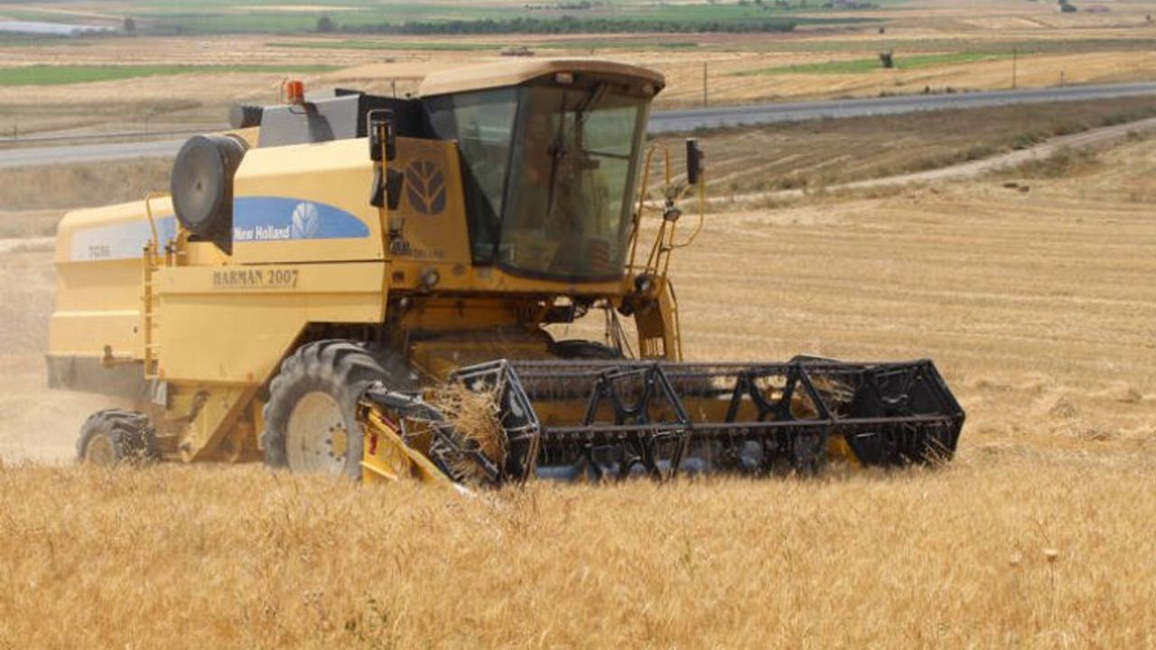 Buğdaylar Yetişiyor Atıl Alan Kullanıma Kazandırılıyor