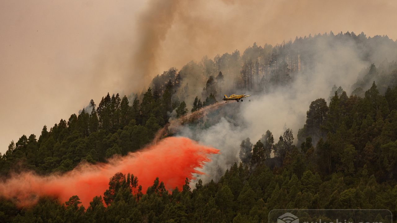İspanyada  Çıkan Yangında Hektarlarca Alan Küle Döndü