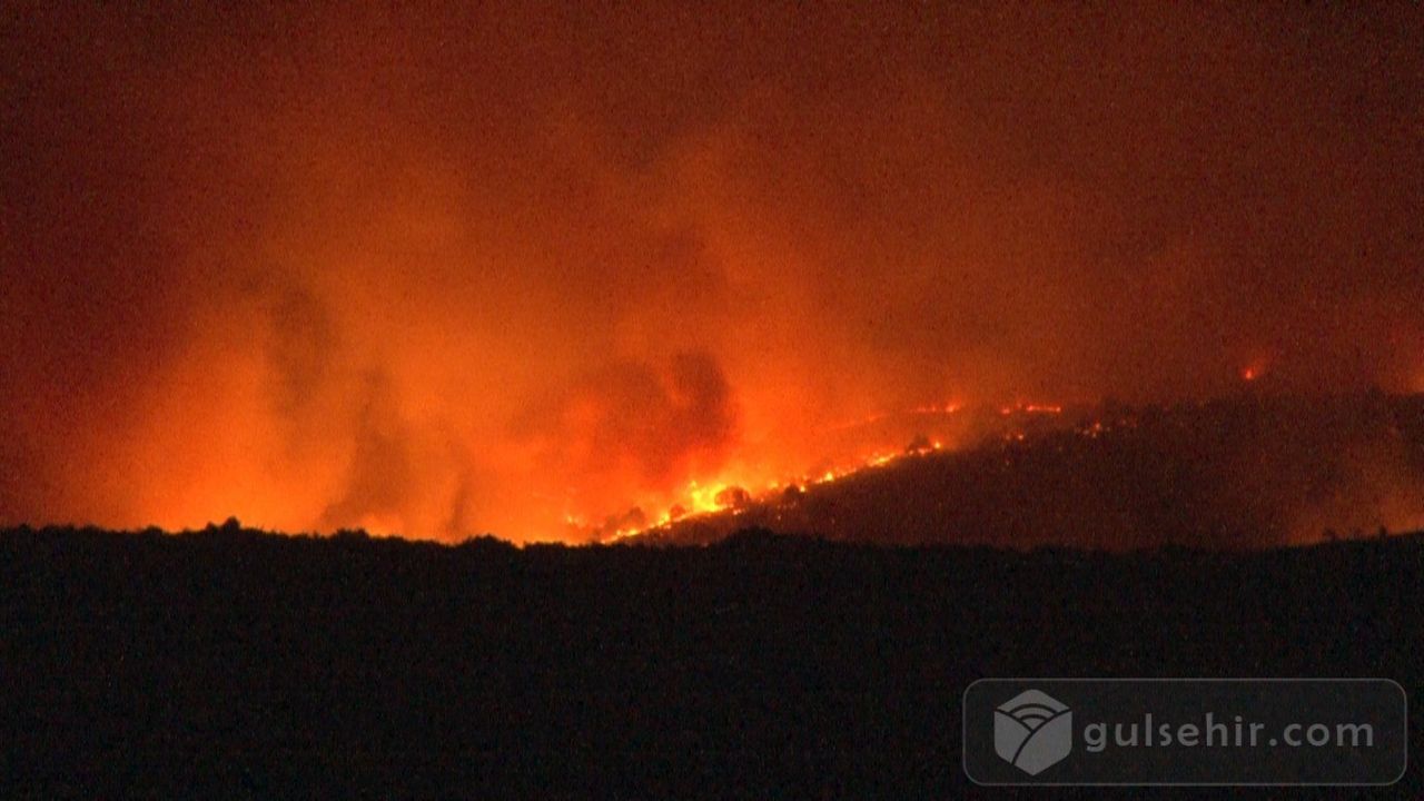 Türkiye-Bulgaristan Sınırında Yangın:Alevler Türkiye Sınırına İlerliyor