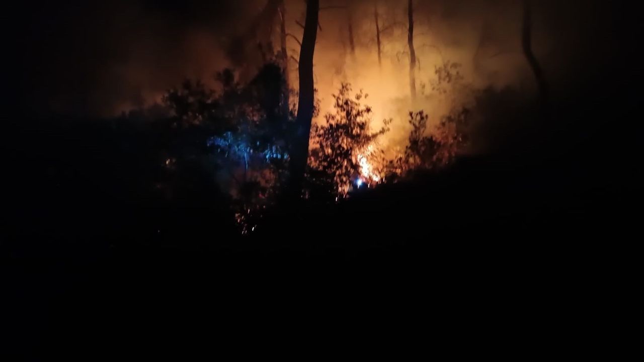 Adana’da Orman Yangını:''Çok Sayıda Ekip Yangına Müdahale Ediyor