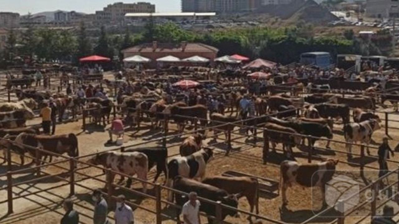 ''Nevşehir 'de Şap Hastalığı Nedeniyle Hayvan Pazarı Kapatıldı''