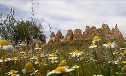 Turizmi Nevşehir'in tüm ilçelerine yayacak olan proje; Kapadokya Jeopark