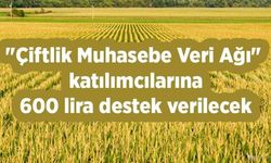 Çiftlik Muhasebe Veri Ağı'na katılan tarımsal işletmelere 600 lira destek verilecek