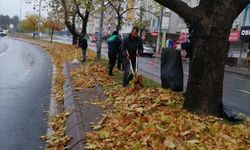 Kayseri dökülen yaprakları geri dönüştürerek doğaya kazandırıyor