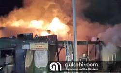 Rusya'da huzurevinde çıkan yangında 22 kişi hayatını kaybetti