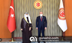 TBMM Başkanı Mustafa Şentop Muhammed Al Şeyh ile görüştü
