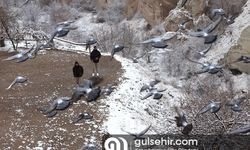 Turistler Kapadokya'ya hayran kaldı