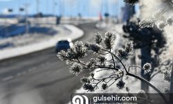 Kars'ta dondurucu soğuklar etkisini gösterdi