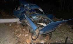 Elektrik direğine çarpan aracın sürücüsü hayatını kaybetti