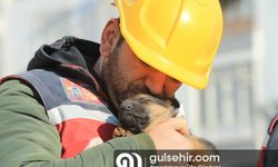 Diyarbakır'da enkazdan bir köpek ve 2 yavrusu kurtarıldı