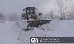 Kastamonu'da kar 215 köy yolunu kapattı