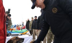 Malatya'da arama-kurtarma köpeği Sıla 12 kişiyi buldu