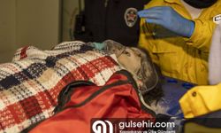 Kahramanmaraş'ta 258. saatte enkazdan bir kadın kurtarıldı