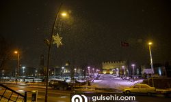 Erzurum'da kar yağışı etkisini gösterdi