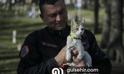 Bosna Hersek arama kurtarma ekibi, Hatay'da kedi sahiplendi