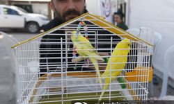 Adıyaman'daki çadır kent evci hayvanları da misafir ediyor