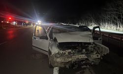 Tokat'taki kazada bir ailenin 3 üyesi yaralandı