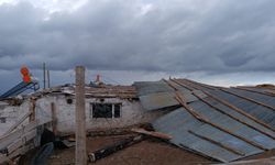 Ardahan'da şiddetli olan rüzgar hayatı olumsuz etkiledi