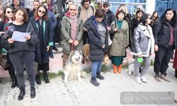 Kırklareli'de köpek yavrusu öldüren zanlı serbest bırakıldı