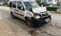 Tokat'ta kamyonetler çarpıştı, 2 yaralı