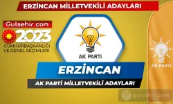 Ak Parti Erzincan Milletvekili Adayları Kimler Oldu