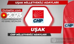 CHP Uşak Milletvekili Adayları Kimler Oldu