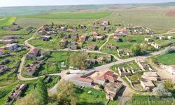 Nevşehir'in 10 nüfuslu köyünde sandığa gidildi [VİDEO]
