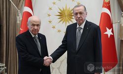 Kritik zirve: Recep Tayyip Erdoğan, Devlet Bahçeli'yi kabul etti