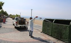 Edremit Belediyesi ilaçlama çalışmalarına hız verdi