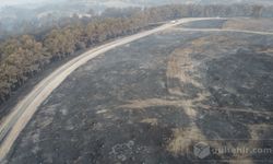 Çanakkale orman yangınının büyüklüğü drone kamerasında