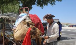 Sıcaklar develeri etkiledi: Kapadokya'da böyle serinledi