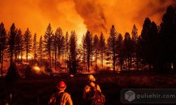 Nevşehir Valiliği orman yangınları konusunda uyardı