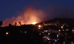 Maltepe'de Ormanlık Alanda Yangın
