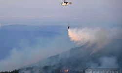 AB Kayıtlarındaki En Büyük Yangın: 81 Bin Hektar Küle Döndü