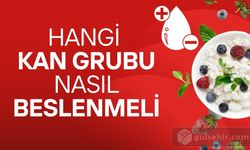 Hangi kan grubu nasıl beslenmeli?