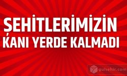 Şehitlerimizin kanını yerde bırakmadık, bırakmayacağız!