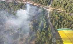 İzmir Gaziemir de Orman Yangın Çıktı Müdahale Sürüyor