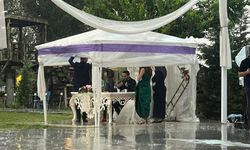 Yağmur altında 'Evet' dediler!  Unutulmaz evlilik