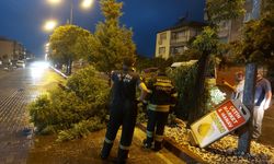 Manisa'da Şiddetli Fırtına Ağaçları Devirdi