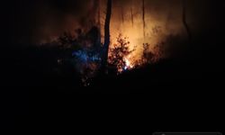 Adana’da Orman Yangını:''Çok Sayıda Ekip Yangına Müdahale Ediyor