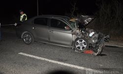 Tekirdağ'da Otomobil Domuz Sürüsüne Çarptı: ''1'i Ağır 2  Yaralı''