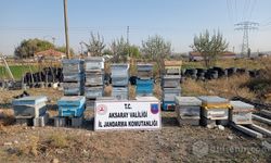 Çalınan Arıların Hırsızlık Olayına: '' Nevşehir'de Son Nokta Konuldu''