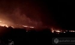'Balıkesir'de Orman Yangını Alevlere Müdahale Sürüyor'