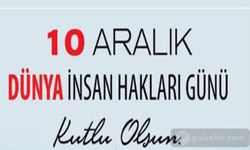 10 Aralık Dünya İnsan Hakları Günü: Adaletin ve Özgürlüğün Işığında Bir Duruş