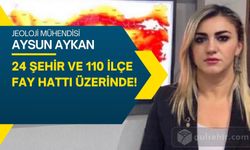 Türkiye'de Tehlikeli Zemin: 24 Şehir ve 110 İlçe Fay Hattı Üzerinde!